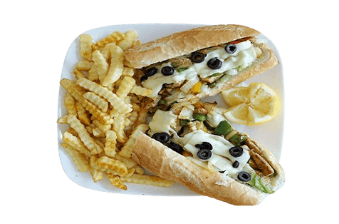 chicken-gyro-fries.png